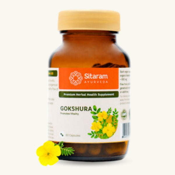 Sitaram Ayurveda, Gokshura gélules, 60 gélules, complement ayurvedique